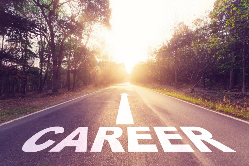 Career Path Development